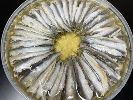 Filets d'anchois nature