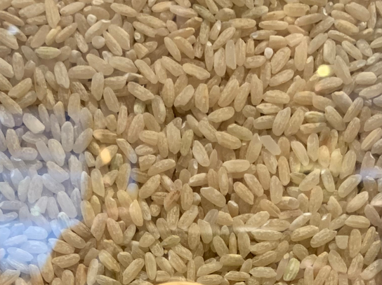 Riz long demi complet - Camargue