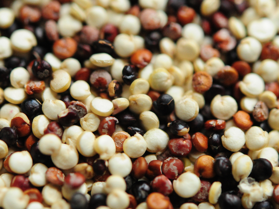 Trio de quinoa