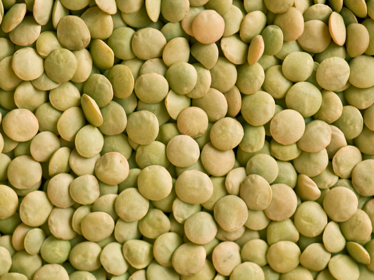 Lentilles vertes