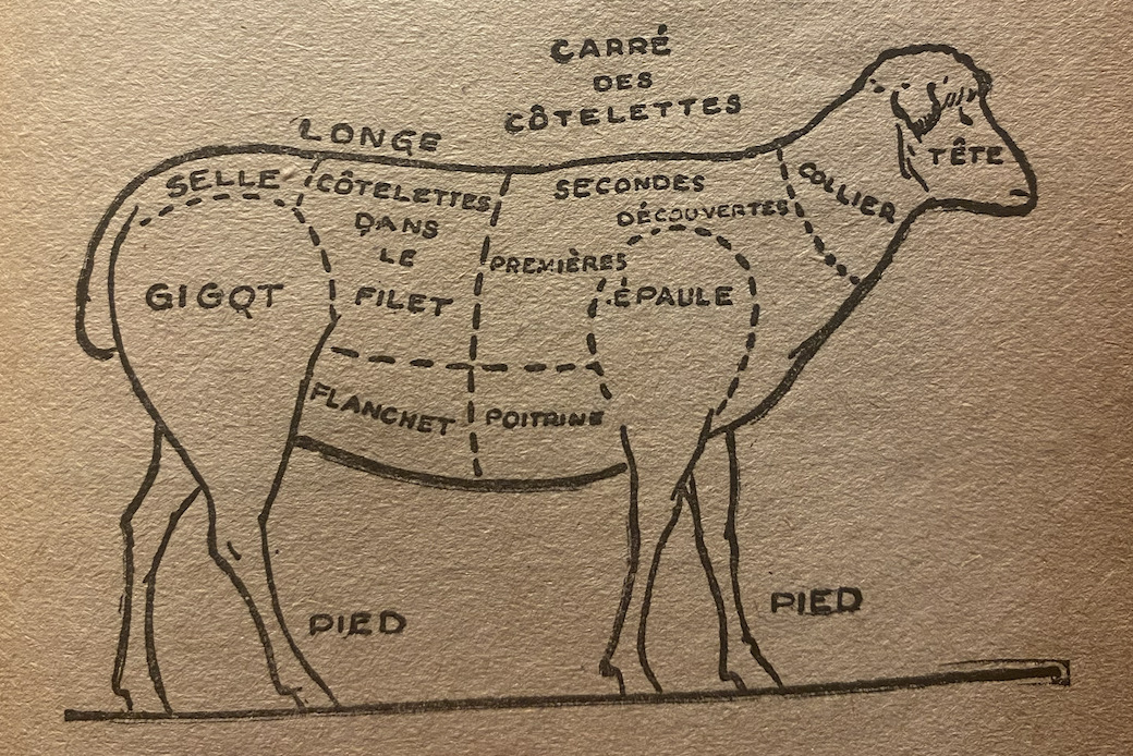 Les différentes parties du mouton