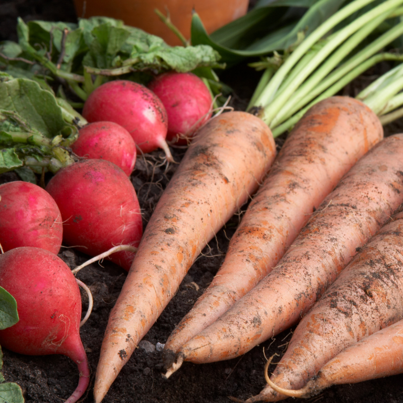 légumes d'avril de saison