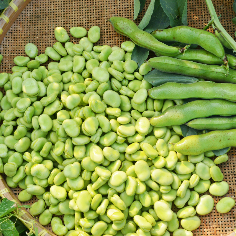 comment cuisiner fèves